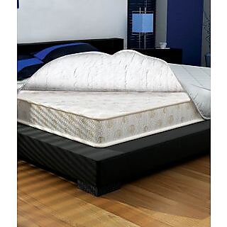 Sleepwell Ev Mattress