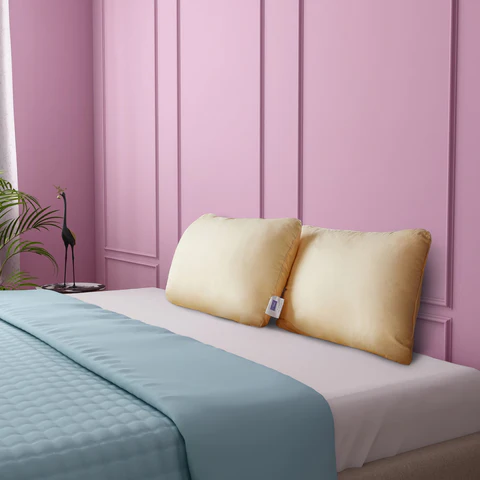 Orthopedic Standard Pillow