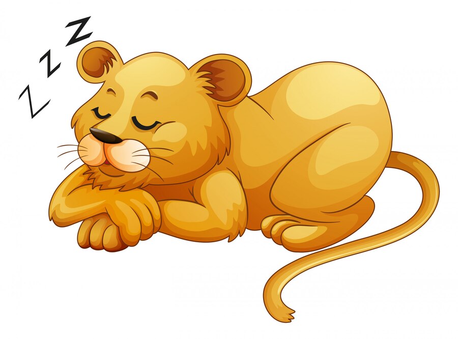 Discover 10 Animals That Sleep The Most And The Least