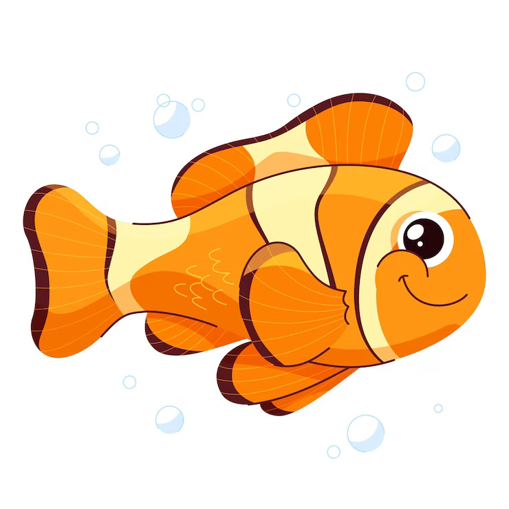 Did You Know Fish Have Regular Sleep Schedules Similar To Yours