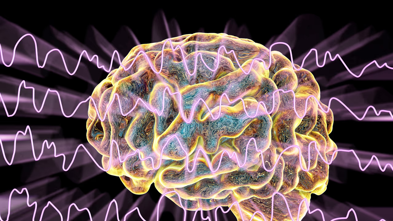 Sleep Activated Brain Circuit Drives Growth Hormone And Boosts Health