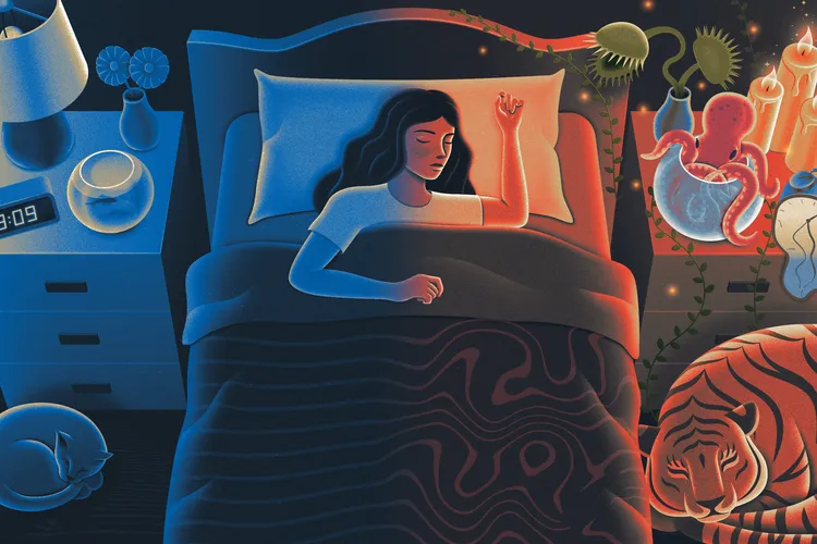 At The Mysterious Boundary Between Waking Life And Sleep What Happens In The Brain